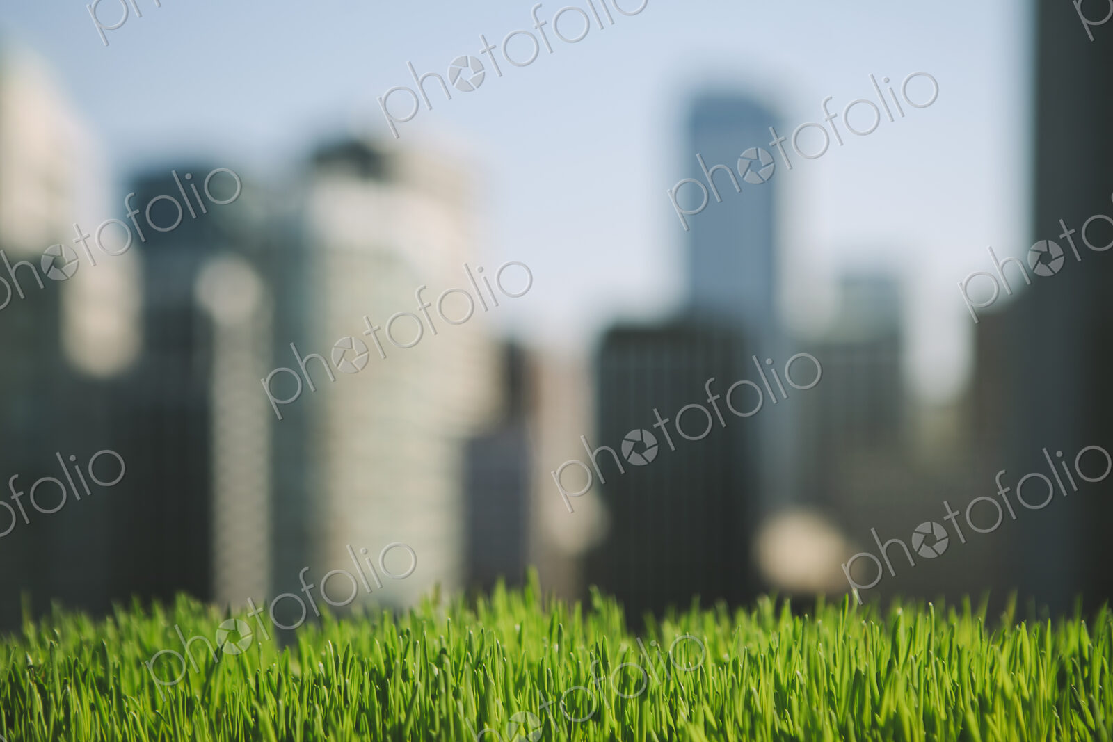 Lush, green grass in foreground, and the Seattle city skyline in the distance.