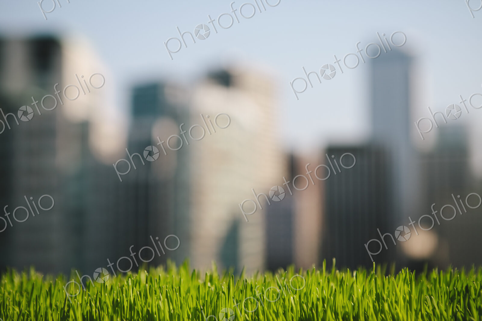 Lush, green grass in foreground, and the Seattle city skyline in the distance.