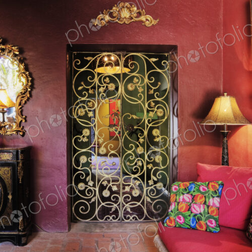 Luxurious Interior Motif