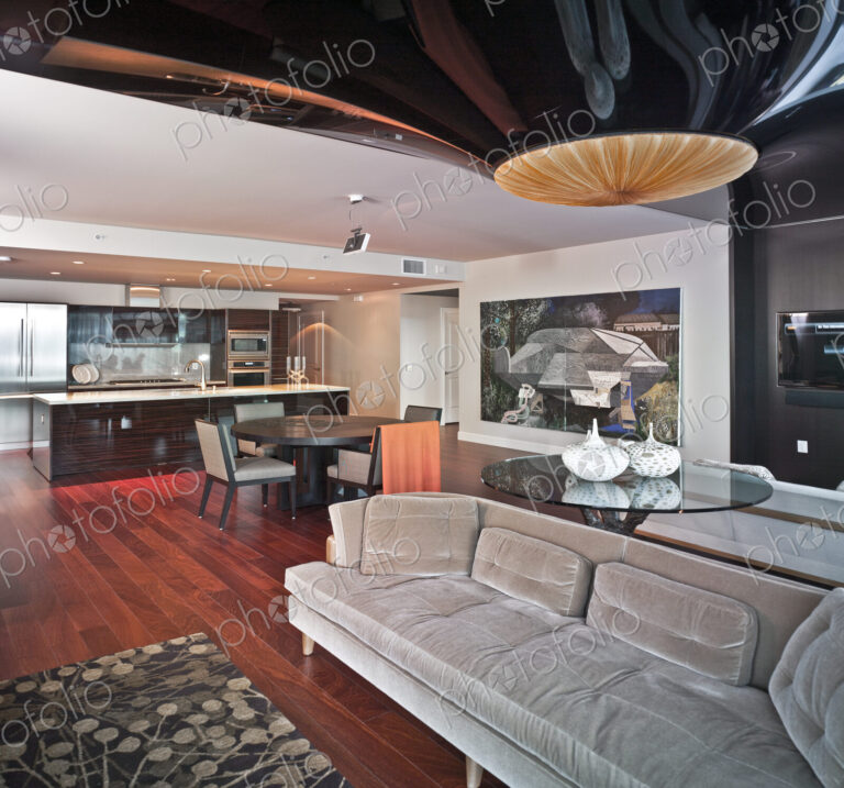 Luxury Condo Living Room