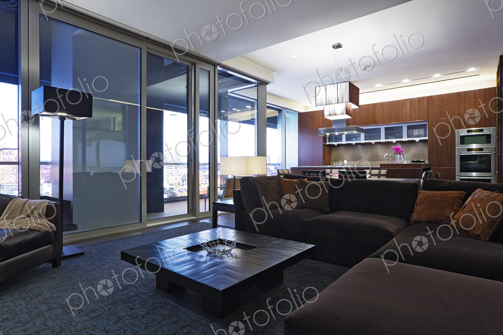Luxury Living Room