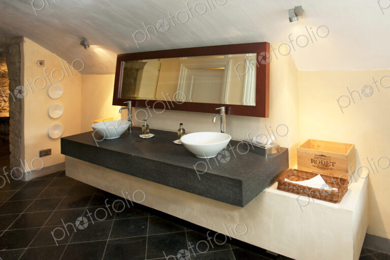 Luxury Public Bathroom