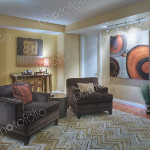 Luxury living room