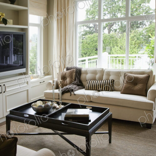 Luxury living room