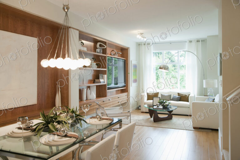 Luxury living room and dining room