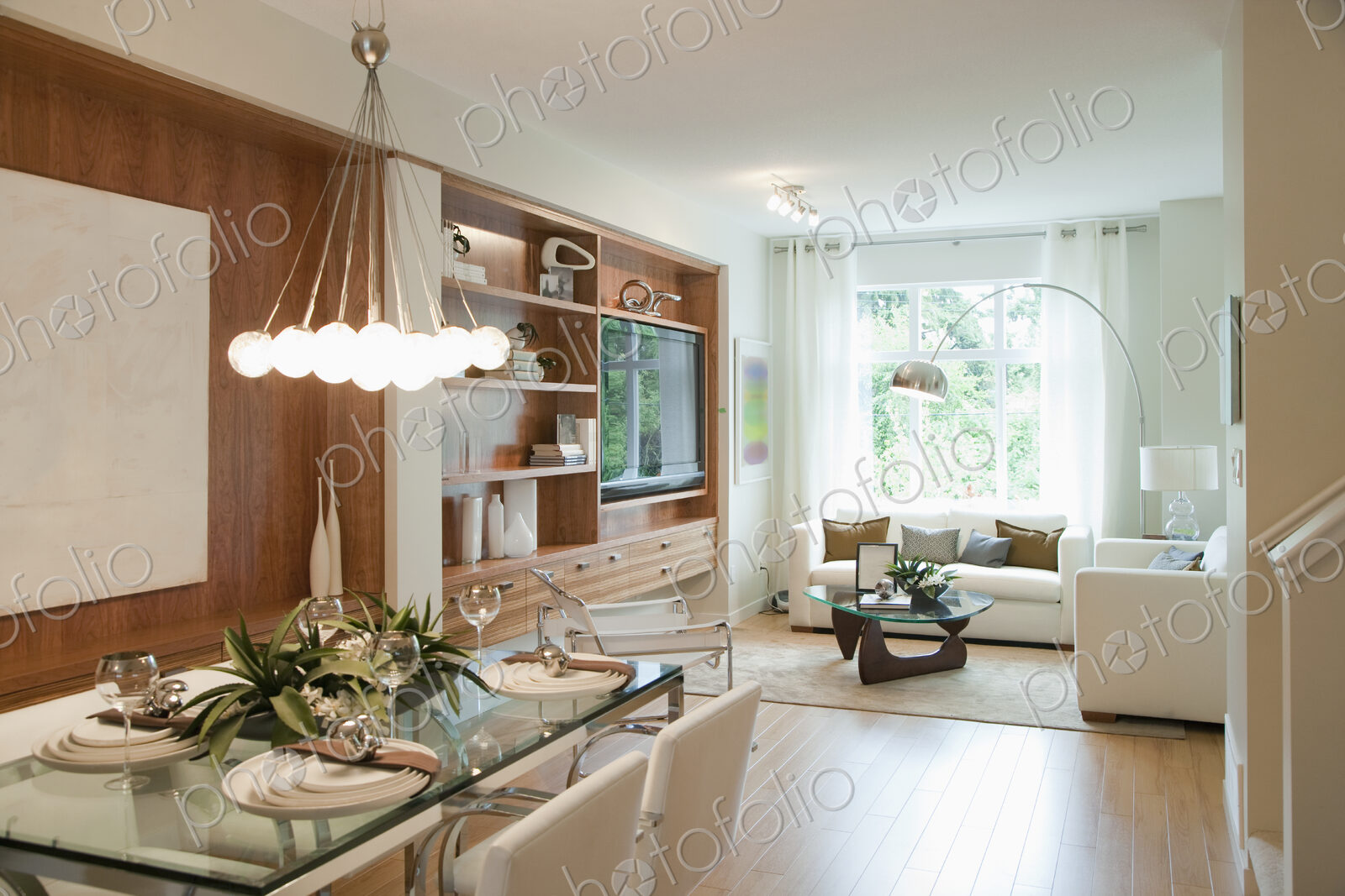 Luxury living room and dining room