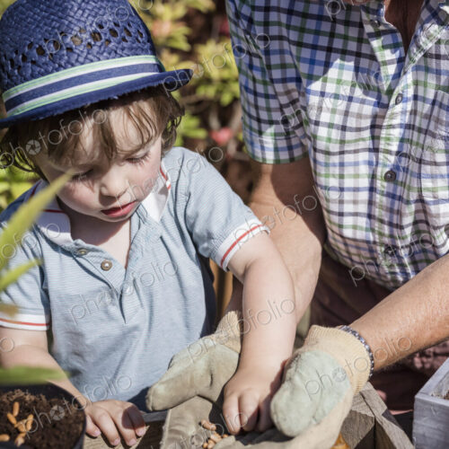 Man and a young child gardening, planting seeds.