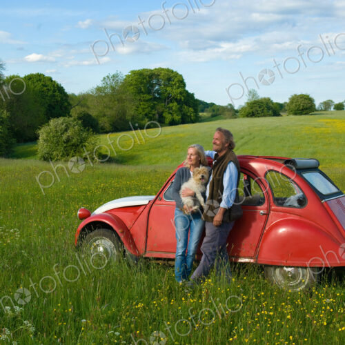 Man and woman standing side by side on a meadow, holding small dog, leaning against…
