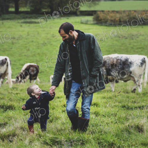 Man and young boy walking on a pasture, with English Longhorn cows in the background. Man and young boy walking on a pasture, with English Longhorn cows in the background.