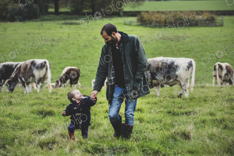 Man and young boy walking on a pasture, with English Longhorn cows in the background.