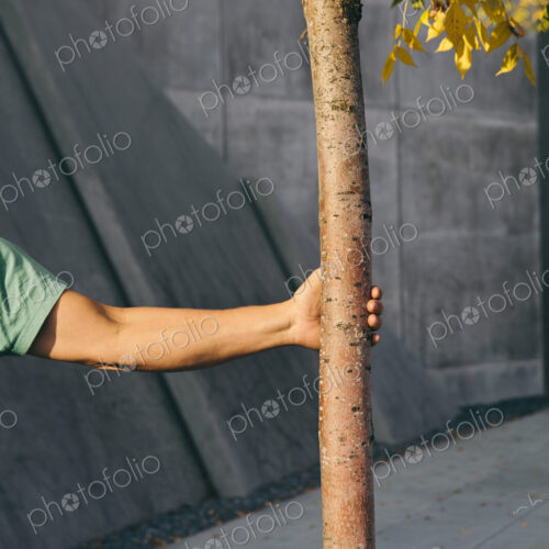 Man holding small tree, city sidewalk in background