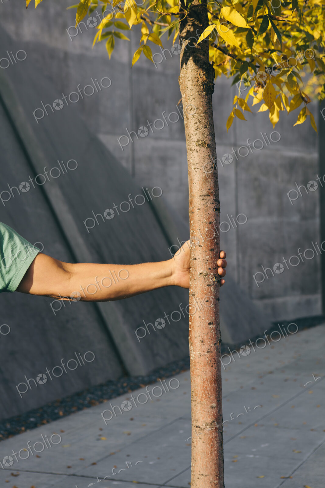 Man holding small tree, city sidewalk in background