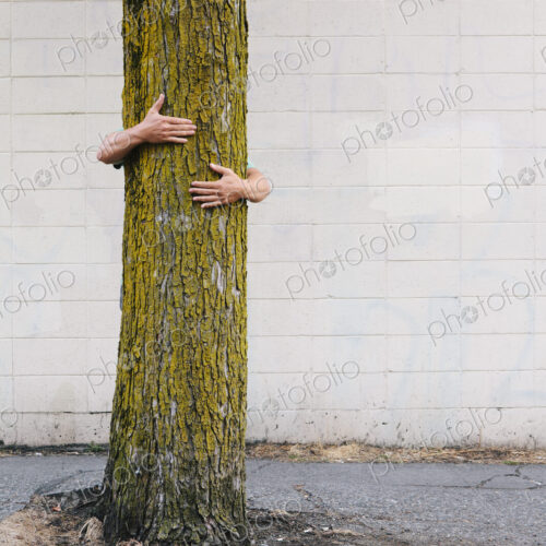 Man hugging a tree on an urban street and sidewalk. Man hugging a tree on an urban street and sidewalk.