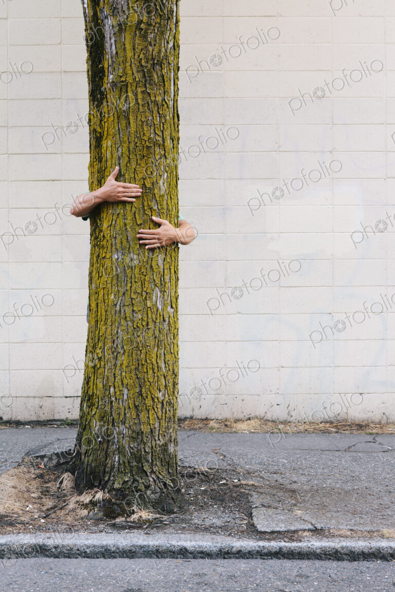 Man hugging a tree on an urban street and sidewalk.