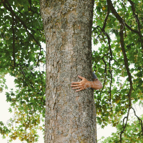 Man hugging tree