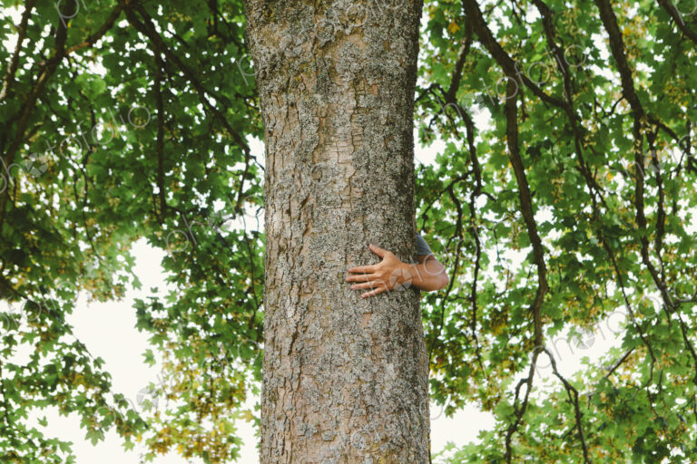 Man hugging tree