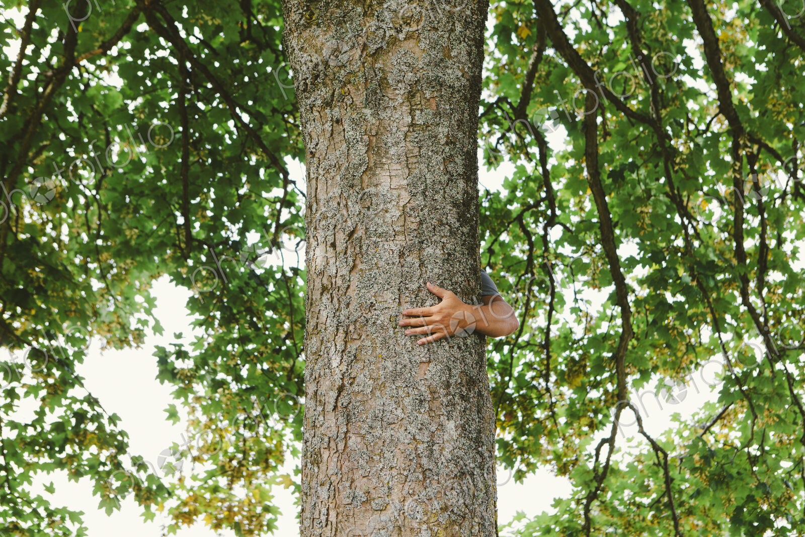 Man hugging tree