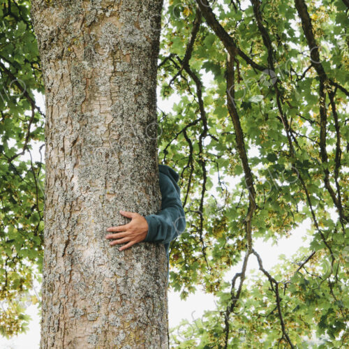 Man hugging tree