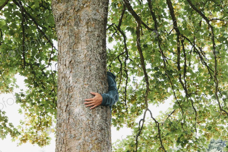 Man hugging tree