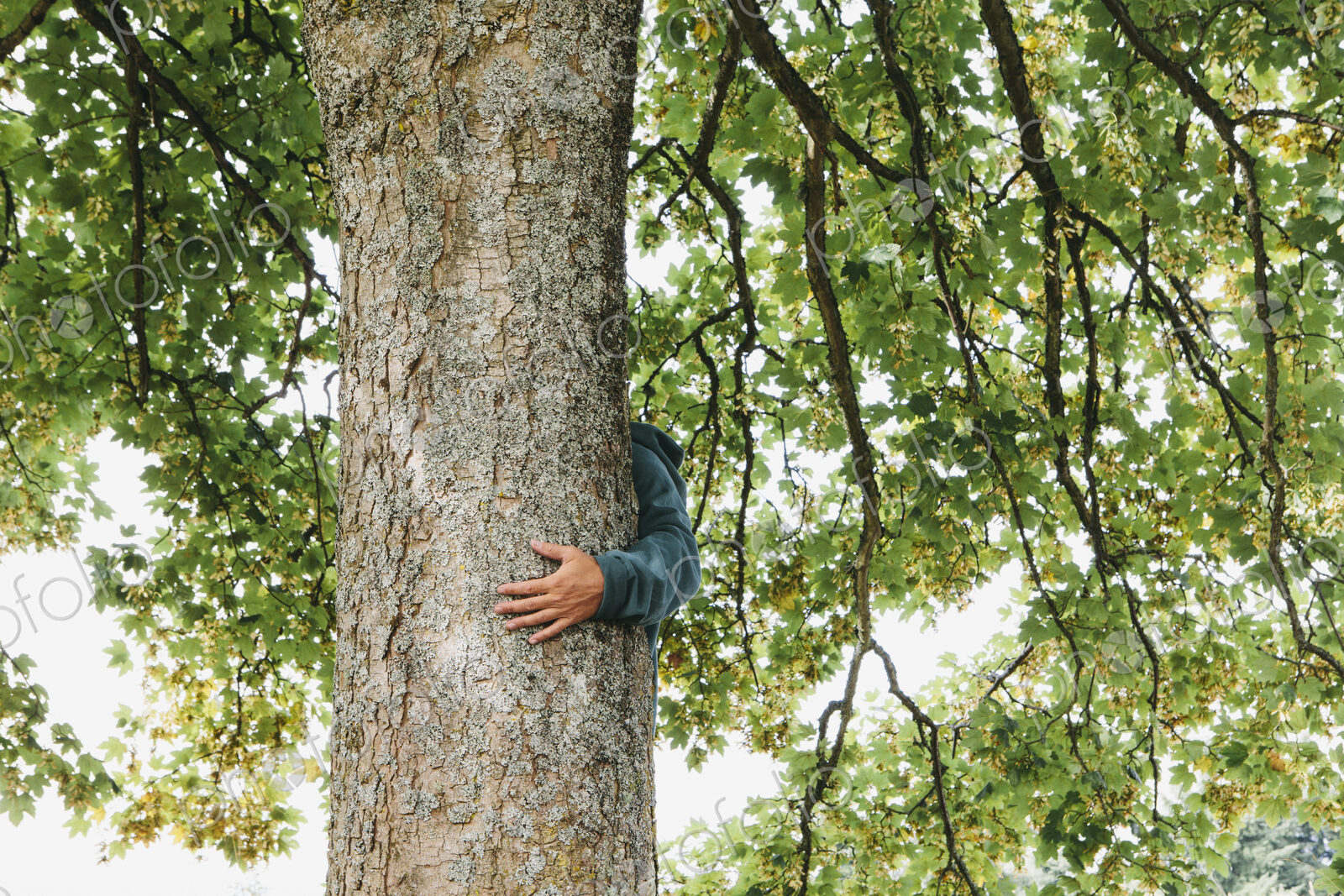 Man hugging tree