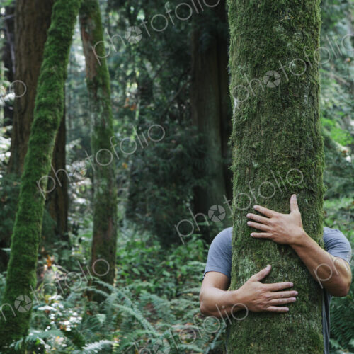 Man hugging tree in lush, green forest