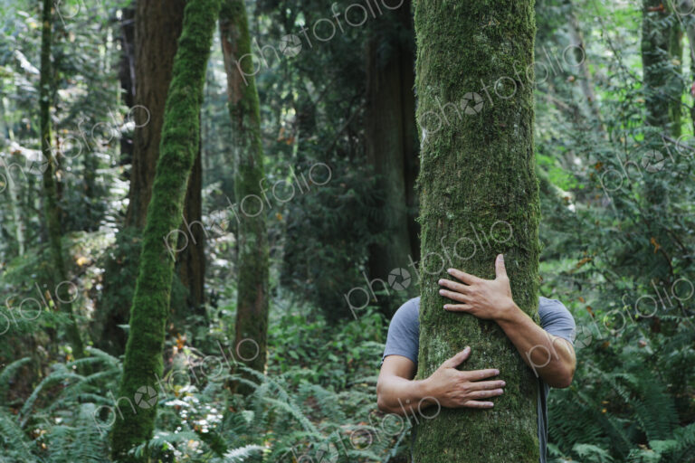 Man hugging tree in lush, green forest