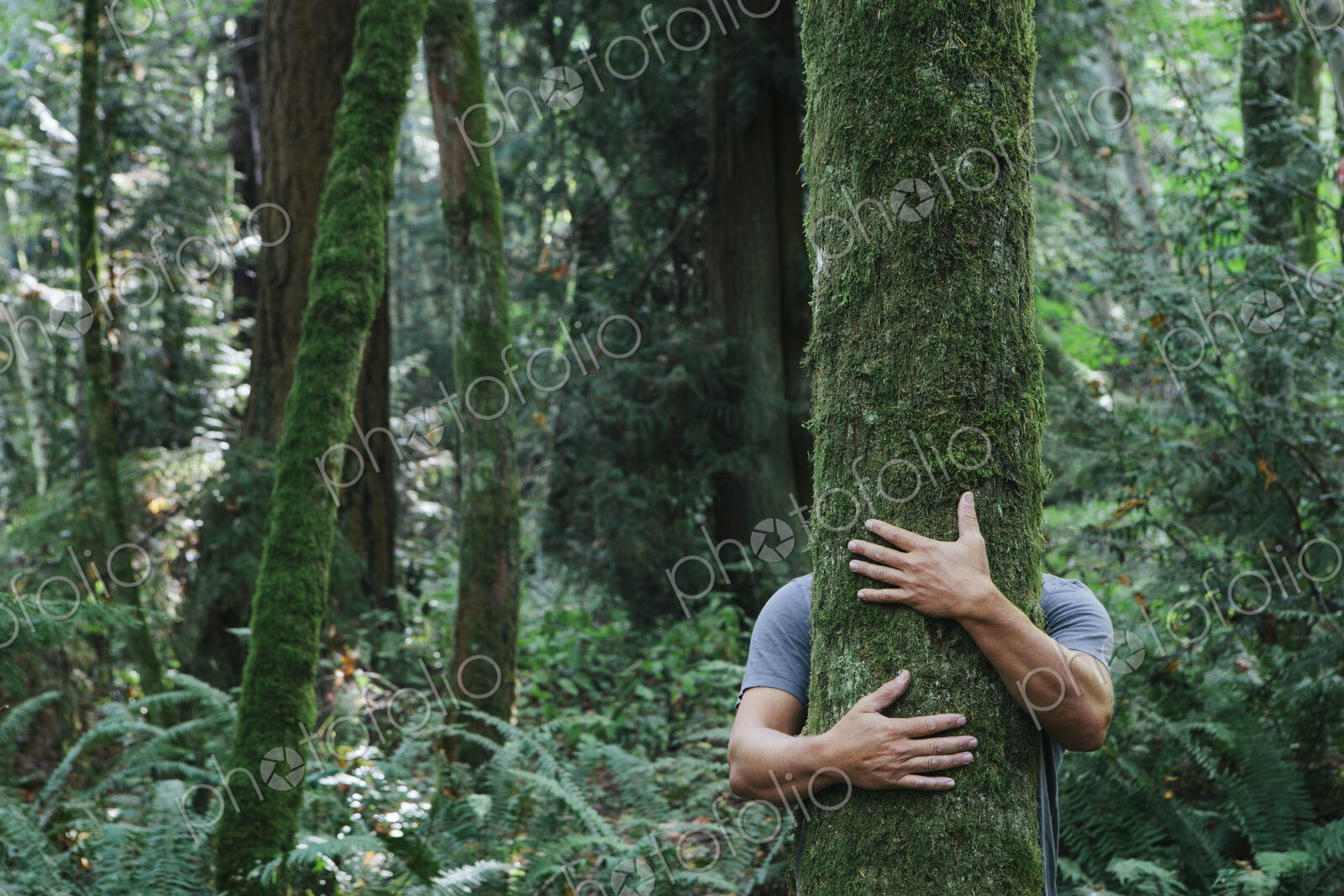 Man hugging tree in lush, green forest