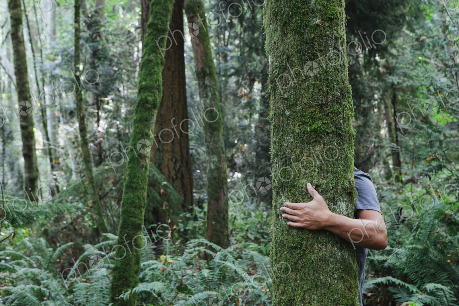 Man hugging tree in lush, green forest