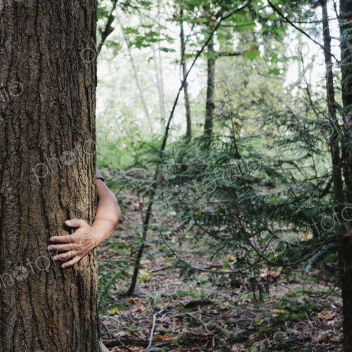 Man hugging tree in lush, green forest
