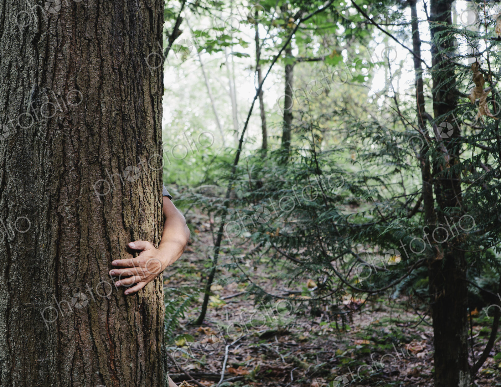 Man hugging tree in lush, green forest