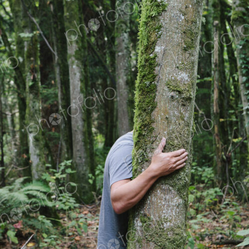 Man hugging tree in lush, green forest Man hugging tree in lush, green forest