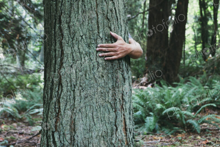 Man hugging tree in lush, green forest