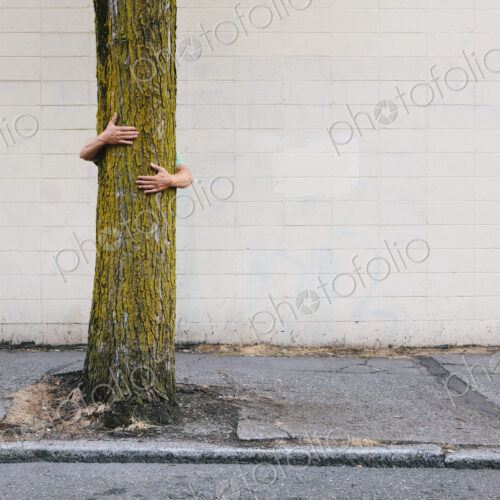 Man hugging tree on urban street and sidewalk