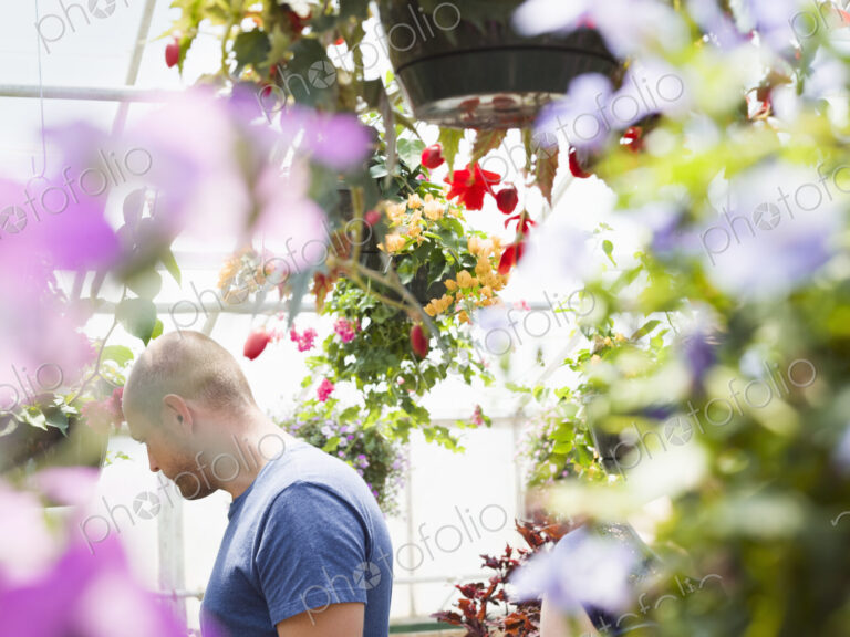 Man looking at colourful flowers and hanging baskets in a garden centre or commercial…