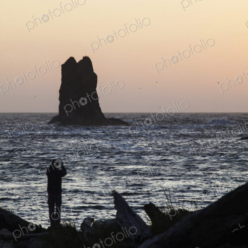 Man looking out to sea on La Push beach, Quileute Nation.