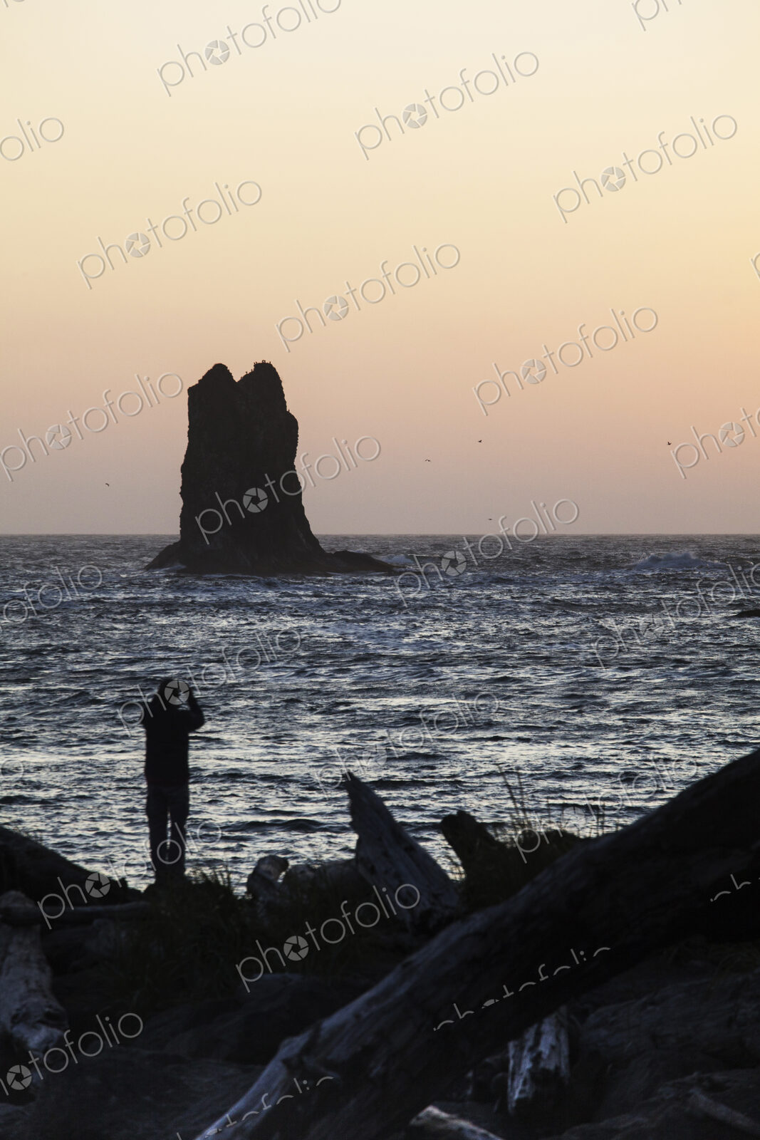Man looking out to sea on La Push beach, Quileute Nation.