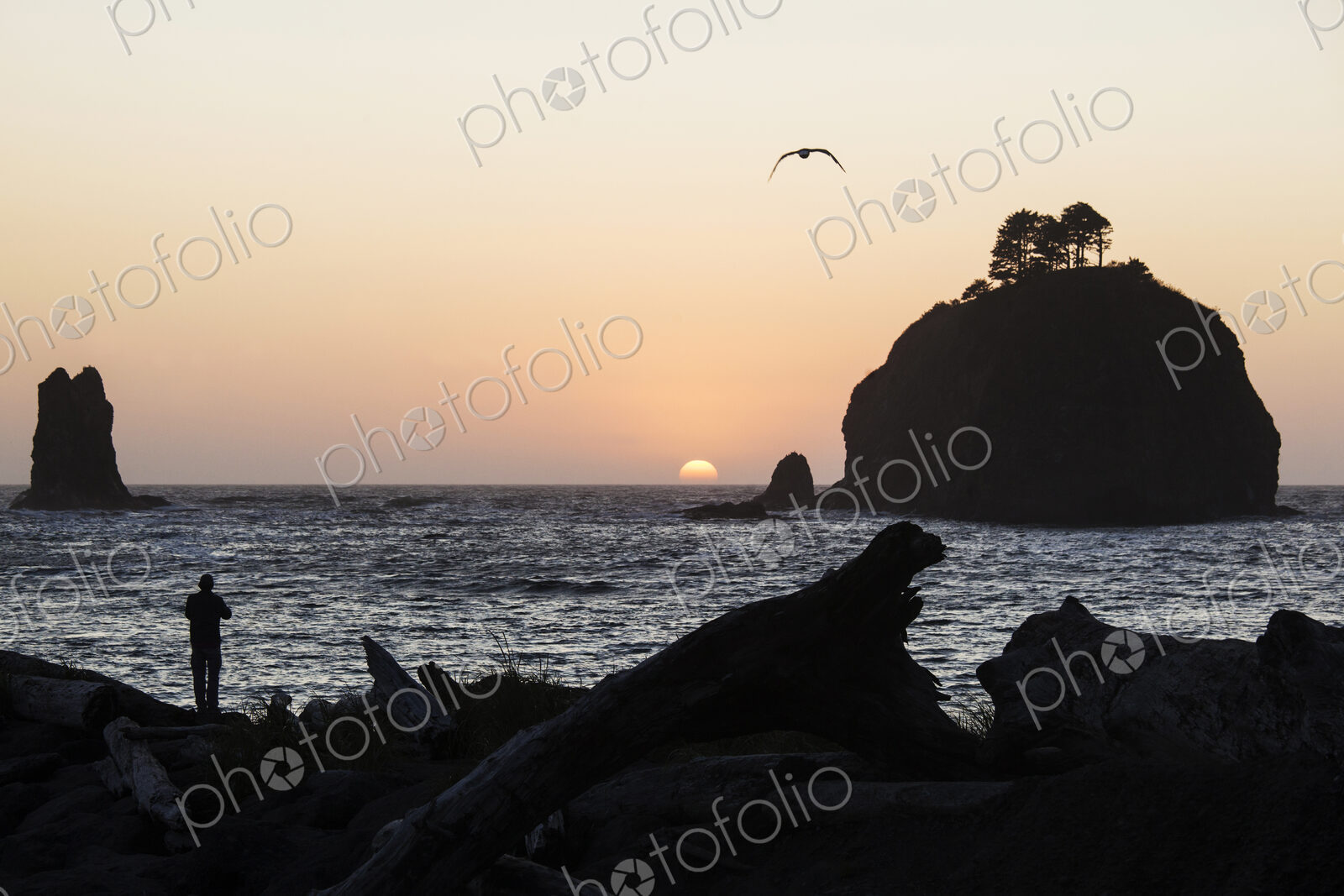 Man looking out to sea on La Push beach, Quileute Nation at sunset.