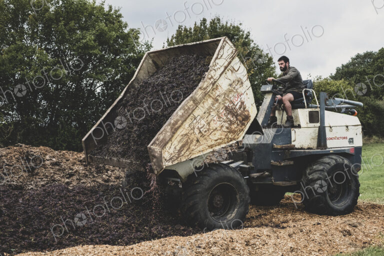 Man on a tractor unloading load of manure on a vineyard.