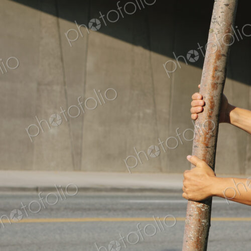 Man pulling on a small tree, on a city sidewalk.