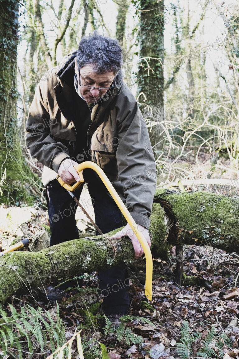 Man standing in forest, cutting tree with a bow saw.