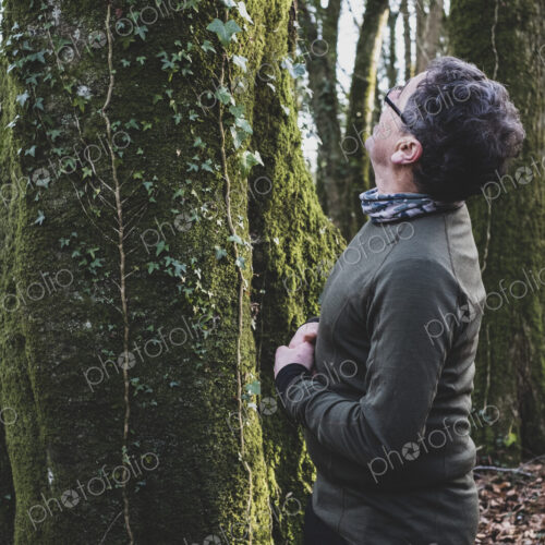 Man standing in forest, looking up tree overgrown with moss and ivy.