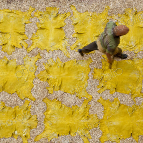 Man walking across yellow leather hides drying in the sun Man walking across yellow leather hides drying in the sun