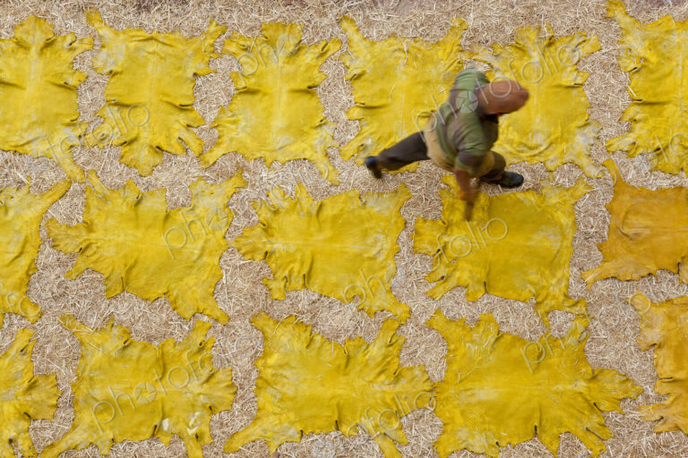 Man walking across yellow leather hides drying in the sun