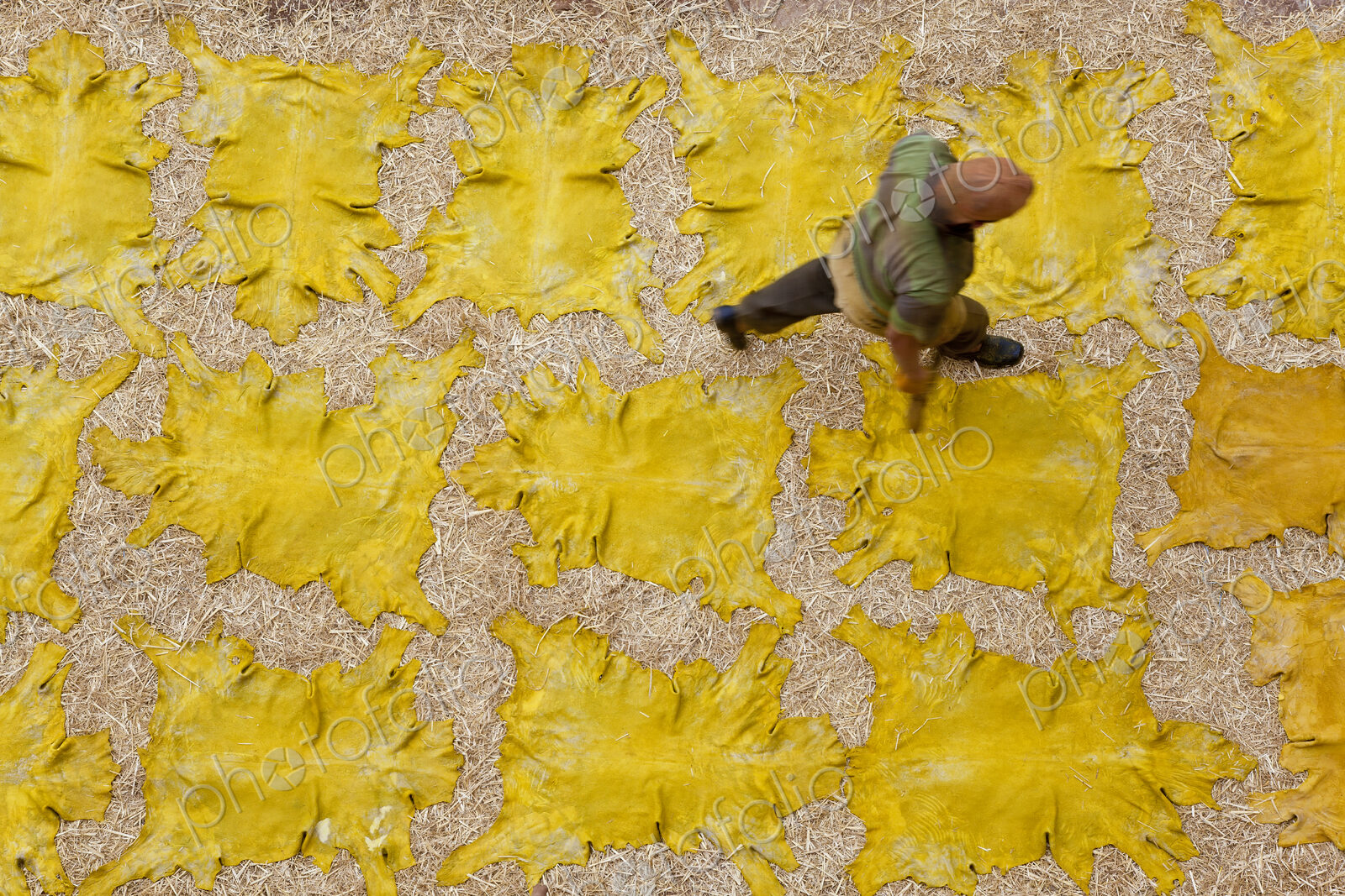 Man walking across yellow leather hides drying in the sun