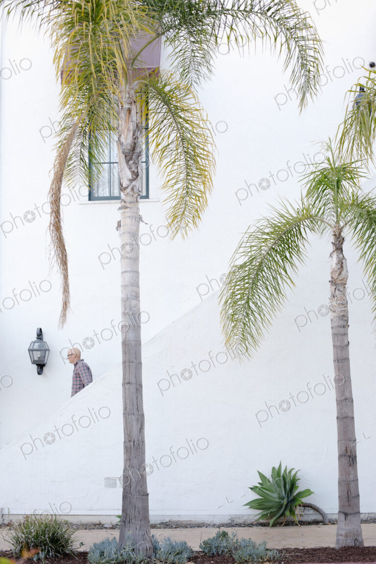 Man walking down a staircase in the distance, palm trees.