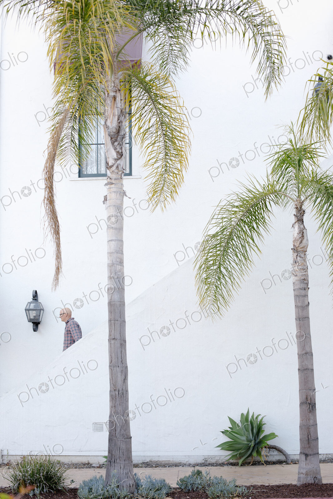 Man walking down a staircase in the distance, palm trees.