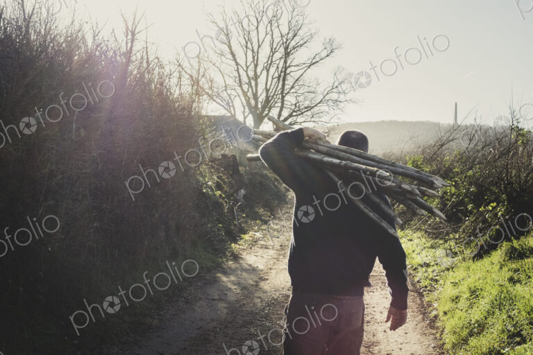 Man walking down rural path by hedge, carrying bunch of wooden pleachers