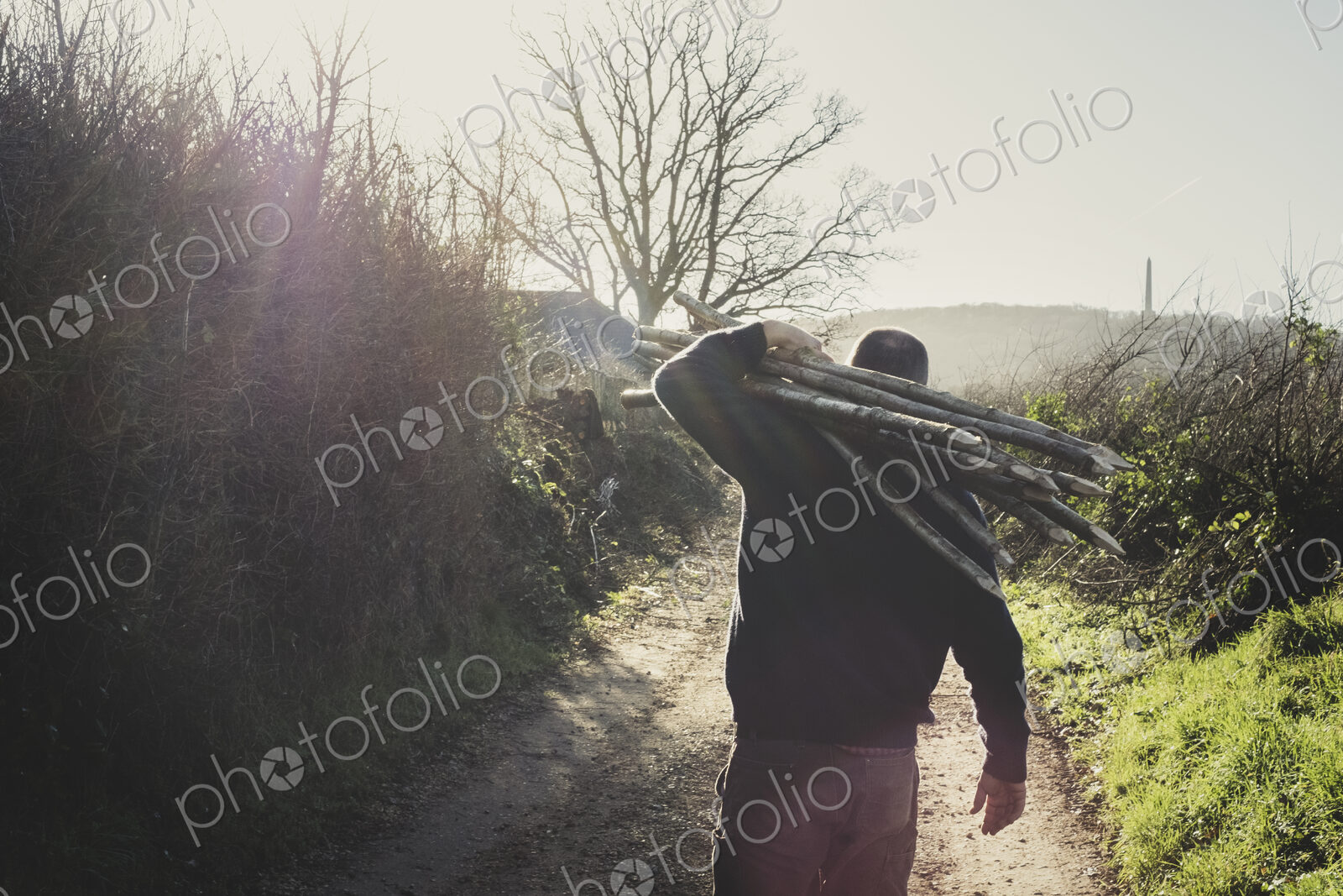 Man walking down rural path by hedge, carrying bunch of wooden pleachers