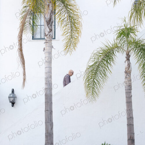 Man walking up a staircase in the distance, palm trees. Man walking up a staircase in the distance, palm trees.