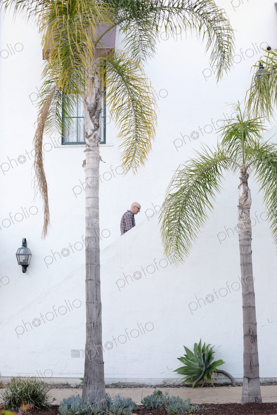 Man walking up a staircase in the distance, palm trees.